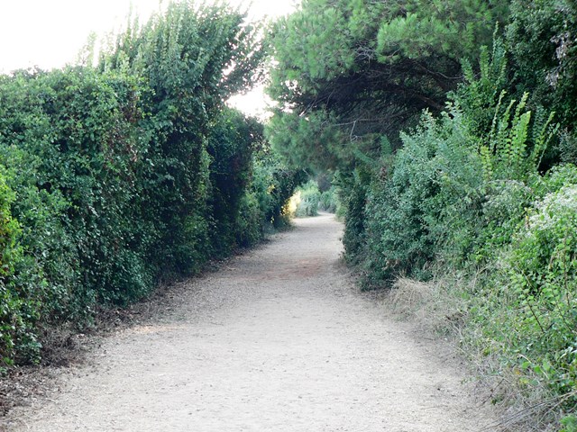 Civilized Hiking Trails